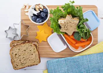 A Guide to Healthy Packed Lunches for Stressed Parents