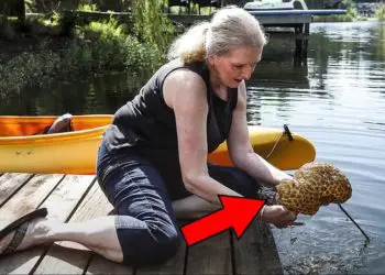 Woman Finds Strange Object In Water – Her Husband Is Shocked When He Sees It