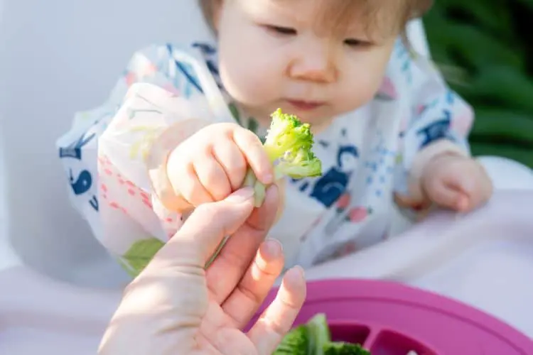 Introducing Solid Foods to Babies: 15 Easy Steps For Every Parent