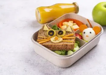 Healthy Lunchbox Ideas That Your Kid Will Actually Eat