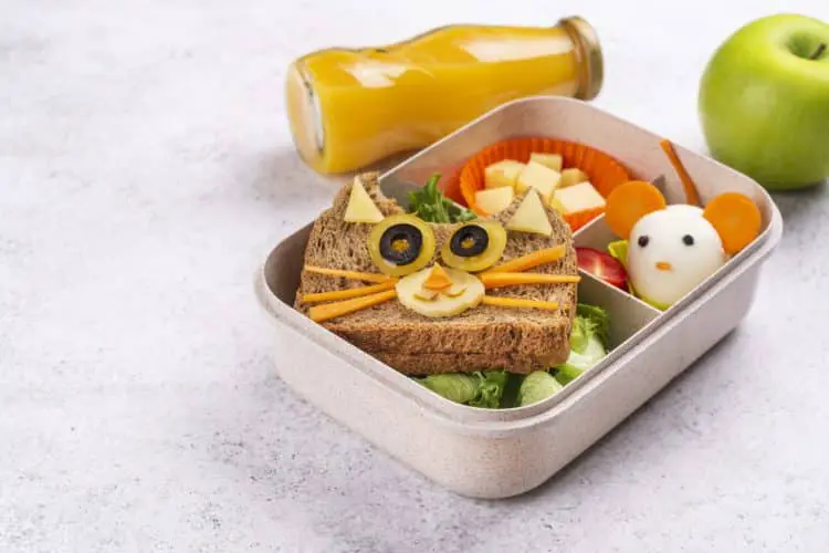 Healthy Lunchbox Ideas That Your Kid Will Actually Eat